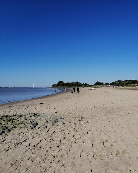 Strandfloh Bielenberg